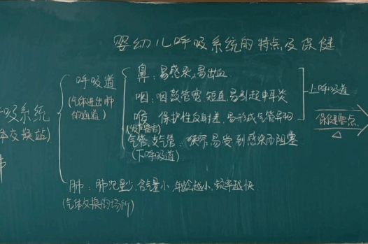 正版蓝月亮精选资料