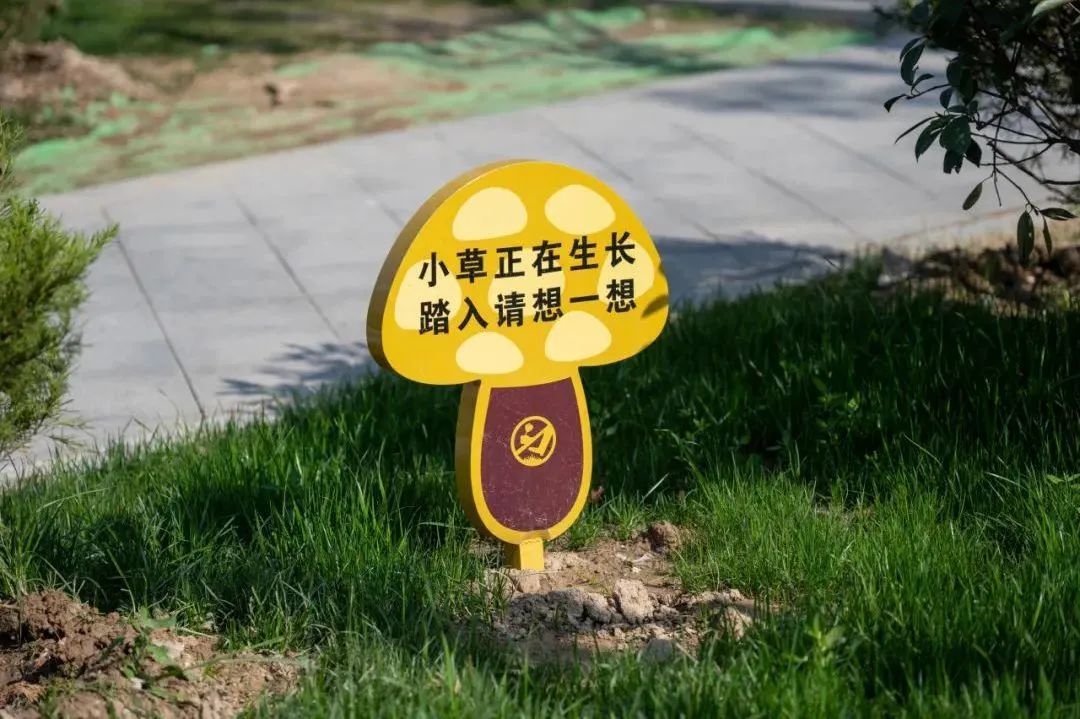 正版蓝月亮精选资料
